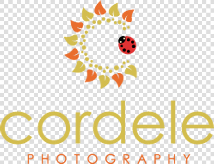 Cordele Photography   Bridgebio Pharma Logo  HD Png DownloadTransparent PNG