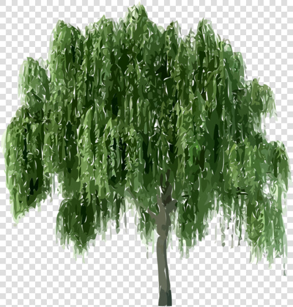 Nature environnement Arbre   Plantes Png Photoshop  Transparent PngTransparent PNG