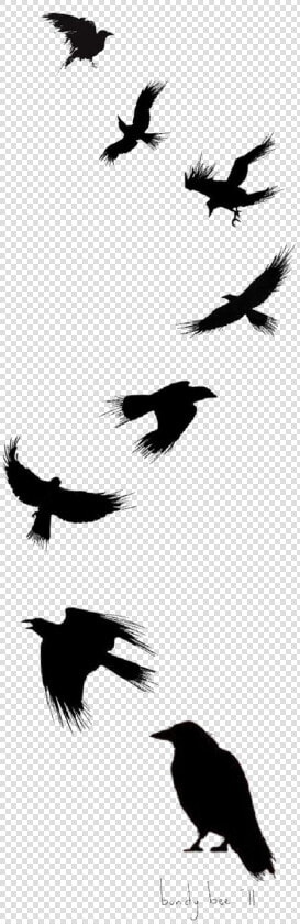 Tattoo Flight Crow Drawing Common Ink Bird Clipart   Raven Silhouette Tattoo  HD Png DownloadTransparent PNG