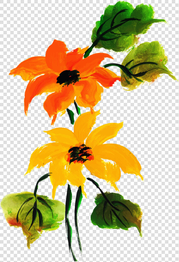 Black Eyed Susan Png  Transparent PngTransparent PNG