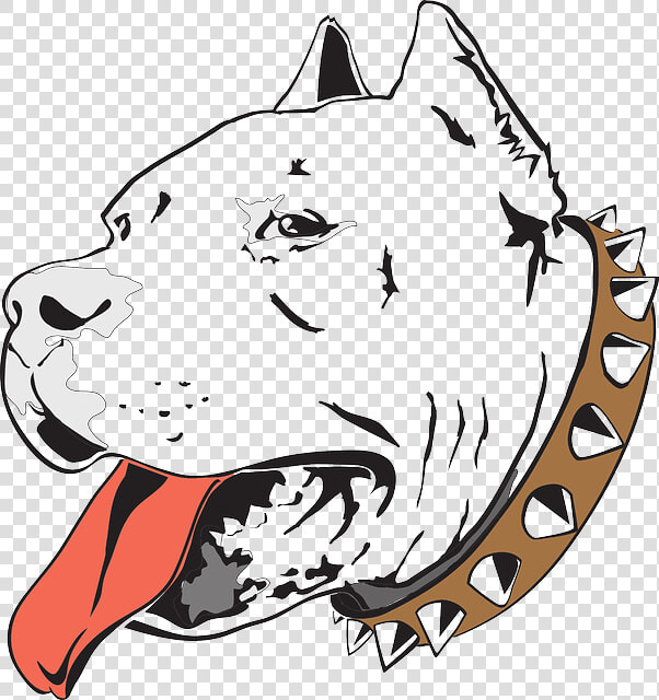 Head Dog Bull Pet   Desenho Pit Bull  HD Png DownloadTransparent PNG