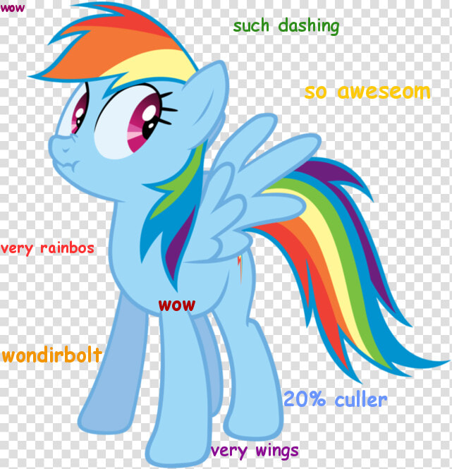 Dashie Doge     Cullen   What S With The Internet S  HD Png DownloadTransparent PNG