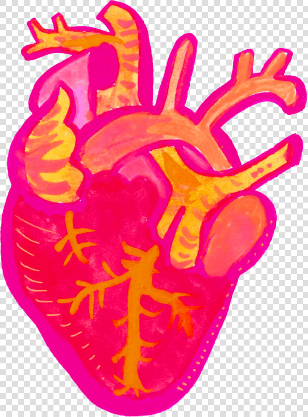 Mi Corazon Ilustrado para Revista Oh Lala   Corazon Ilustrado  HD Png DownloadTransparent PNG