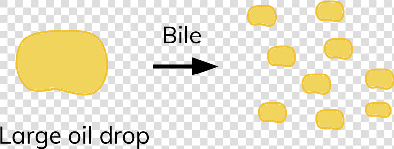 Large Drop Of Fat Bile  HD Png DownloadTransparent PNG