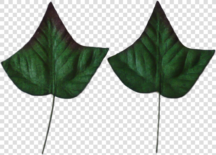 Green Mulberry Paper Ivy Leaves 3 5cm   10pcs  HD Png DownloadTransparent PNG