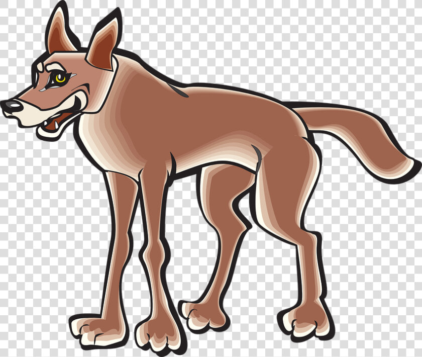 Body  Animal  Tail  Coyote   Coyote Cartoon Clipart  HD Png DownloadTransparent PNG