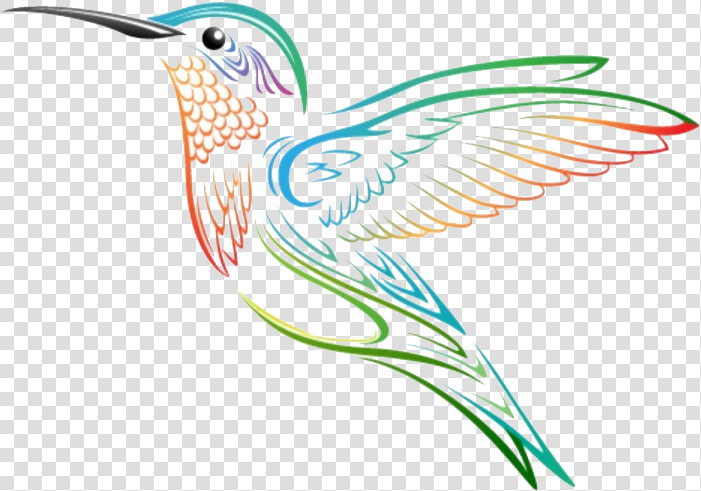 Hummingbird Yoga Studio   Imagenes Del Colibri Animada  HD Png DownloadTransparent PNG