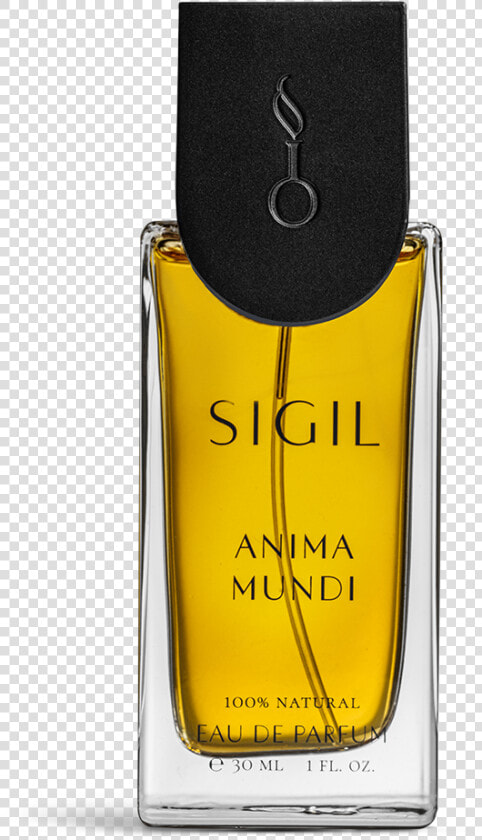 Anima Mundi Bottle  HD Png DownloadTransparent PNG