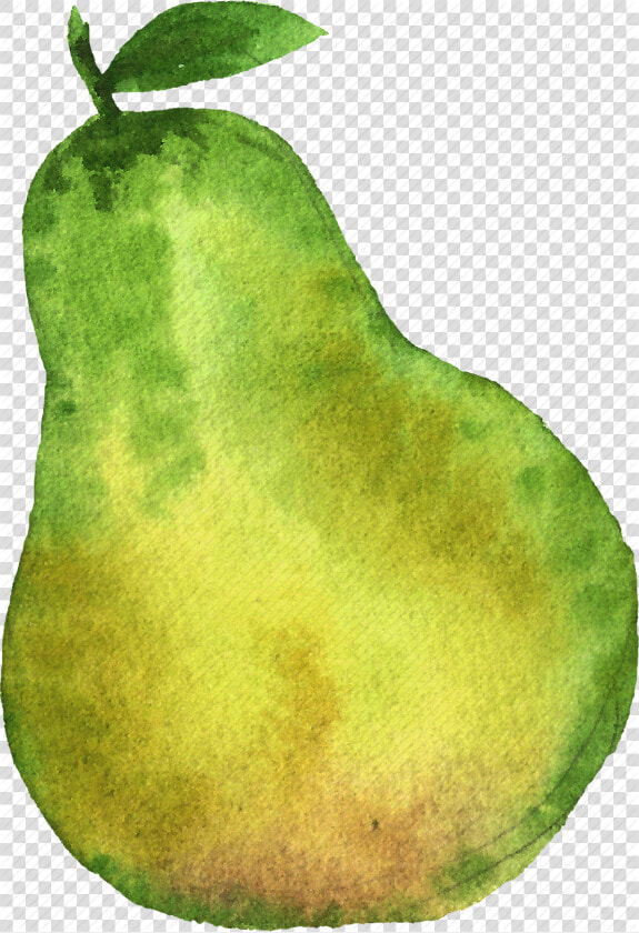 Cuisine  Food  Fruit  Fruits  Pear  Watercolor  Watercolors   Watercolor Pear Transparent  HD Png DownloadTransparent PNG