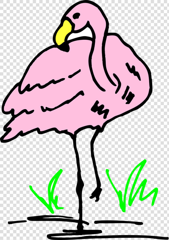 Transparent Flamingo Vector Png   Hewan Flamingo Kartun Png  Png DownloadTransparent PNG