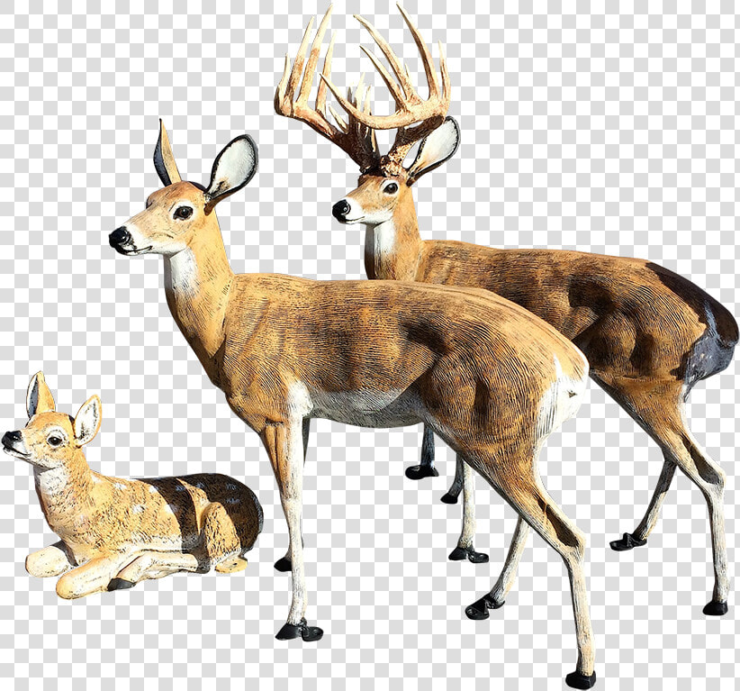 Deer Statues Outdoor Decoration For Your Yard For Sale   Deer Statues For Yard  HD Png DownloadTransparent PNG