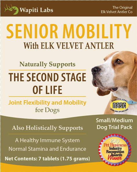 Senior Mobility For Dogs   Companion Dog  HD Png DownloadTransparent PNG