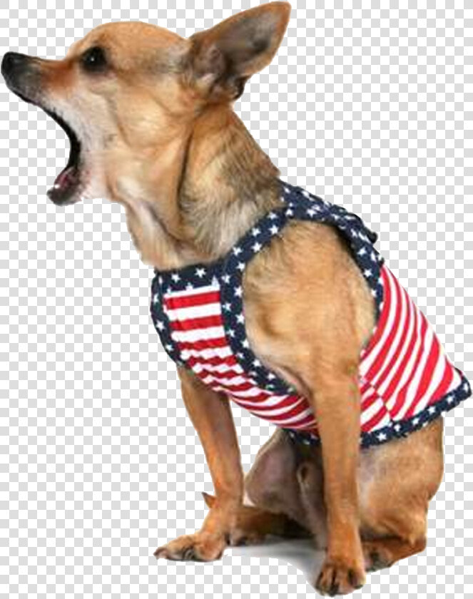 Transparent Funny Dog Png   Stop Dog Barking  Png DownloadTransparent PNG