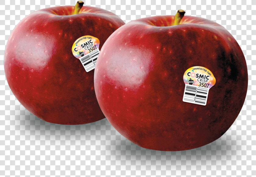 Cosmic Crisp Apple Png  Transparent PngTransparent PNG