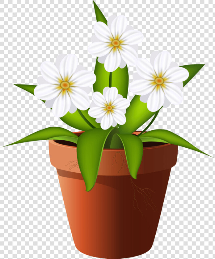 花艺盆栽花卉   Maceta De Flores Ilustracion Png  Transparent PngTransparent PNG