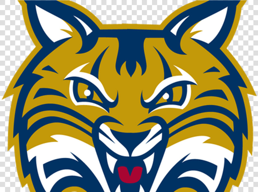 Bobcat Clipart Scared   Bobcat Quinnipiac  HD Png DownloadTransparent PNG