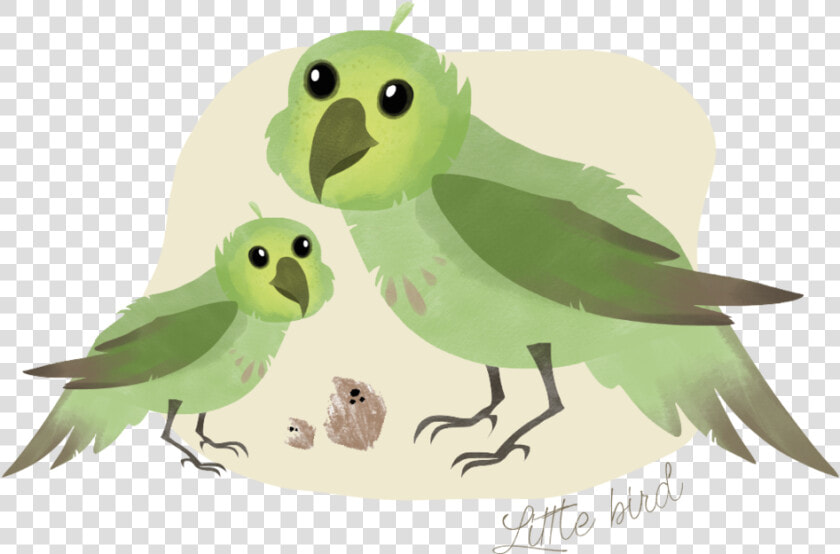 Drawn Parakeet Kakapo   Budgie  HD Png DownloadTransparent PNG