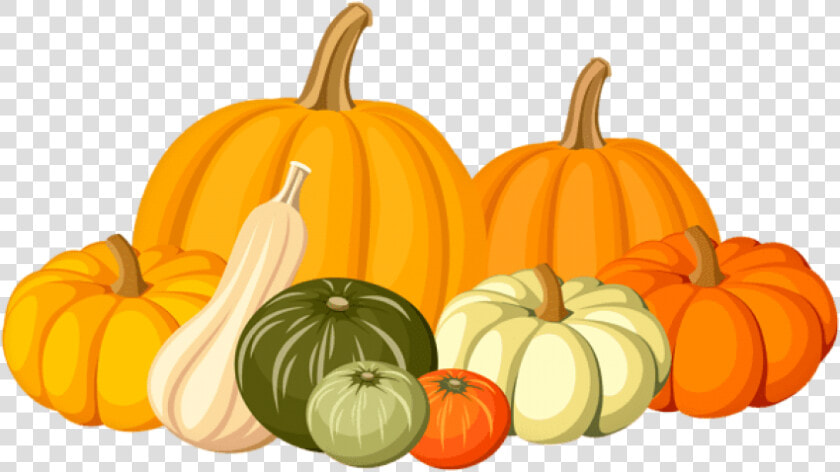 Free Png Download Autumn Pumpkins Png Images Background   Transparent Background Pumpkin Clipart  Png DownloadTransparent PNG