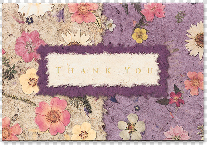 Mixed Garden Thank You Cards Image   Chrysanths  HD Png DownloadTransparent PNG