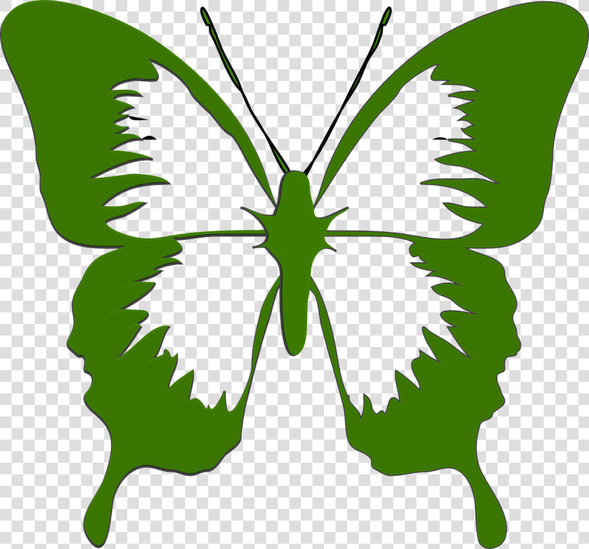 Butterfly  Art  Design  Isolated  Shape  Decorative   Butterfly Green Clip Art  HD Png DownloadTransparent PNG