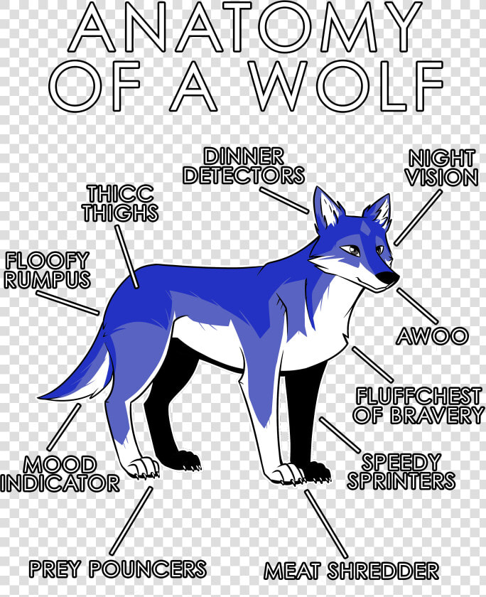 Free Furry Wolf Base  HD Png DownloadTransparent PNG