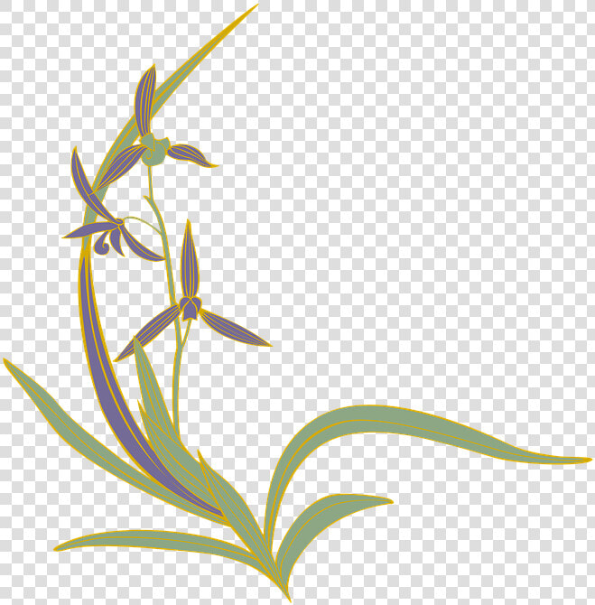 Orchid  Oriental Orchid  Flowers  Japanese Style   Orchids  HD Png DownloadTransparent PNG