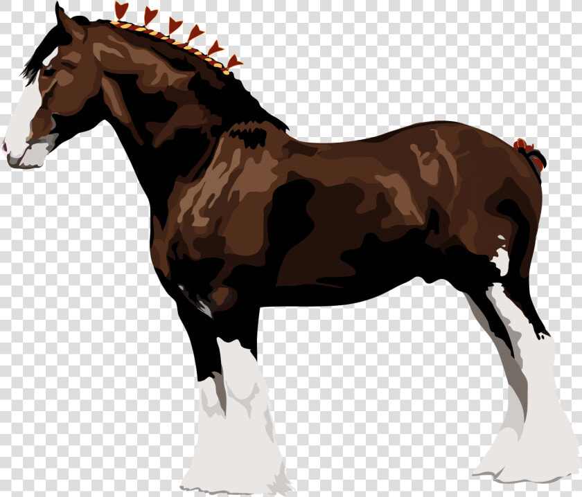 Horse Leg Png   Raça De Cavalo Clydesdale  Transparent PngTransparent PNG