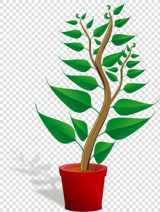 Potted Plant Clipart   Plant Clip Art Png  Transparent PngTransparent PNG