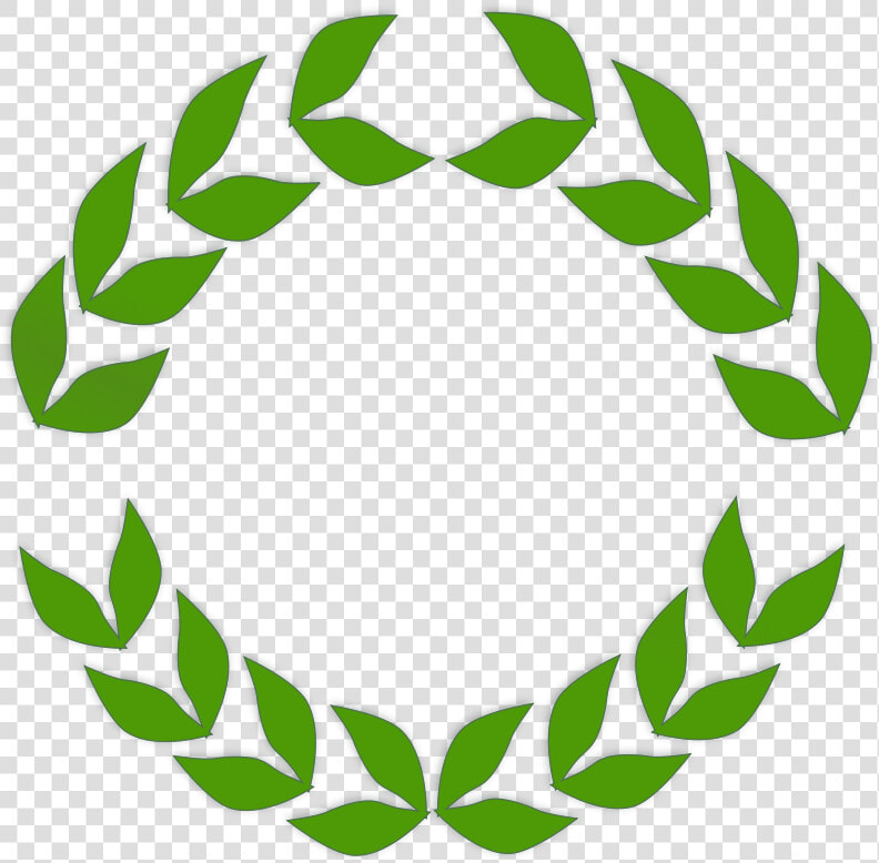 Laurel Vine Clipart   Green Laurel Leaves Png  Transparent PngTransparent PNG