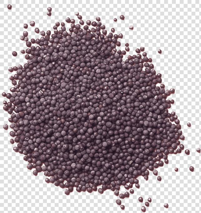 Frijoles Negros  HD Png DownloadTransparent PNG