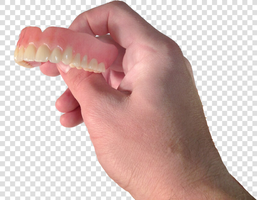 Waxworm  HD Png DownloadTransparent PNG