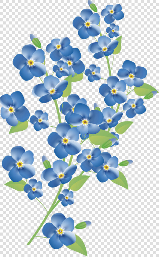 Forget Me Not Png Pic   Forget Me Not Flower  Transparent PngTransparent PNG