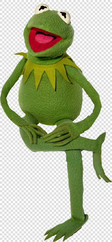  kermit  frog  tea   Kermit Puppet  HD Png DownloadTransparent PNG