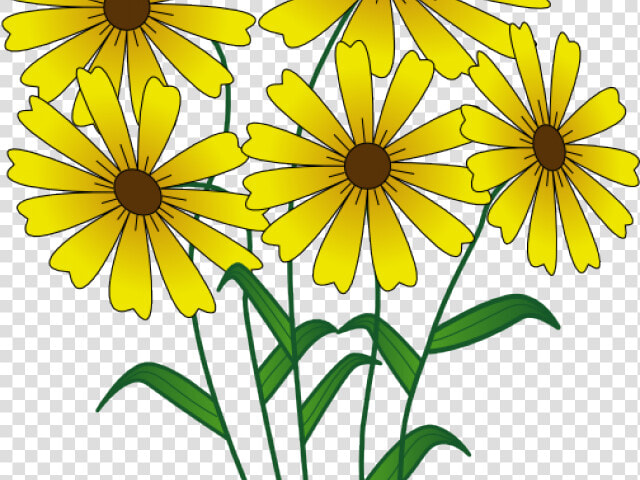 Transparent Wildflower Clipart   Viver Bem Uns Com Os Outros  HD Png DownloadTransparent PNG