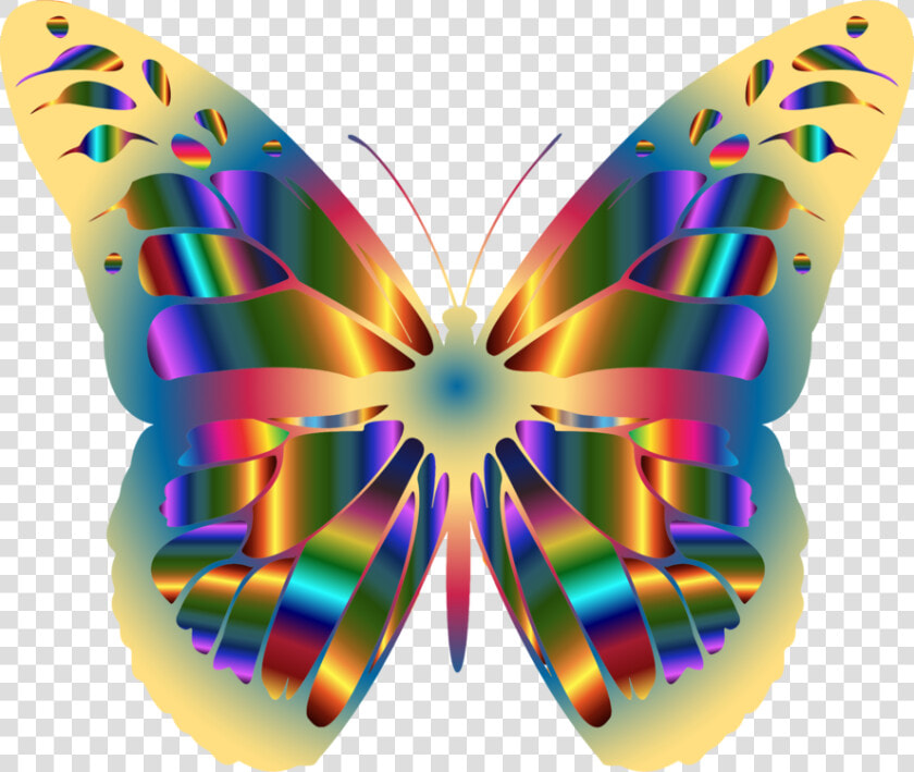 Jpg Royalty Free Library Monarch Butterfly Brush Footed   Colorful Butterfly Wing Clipart  HD Png DownloadTransparent PNG