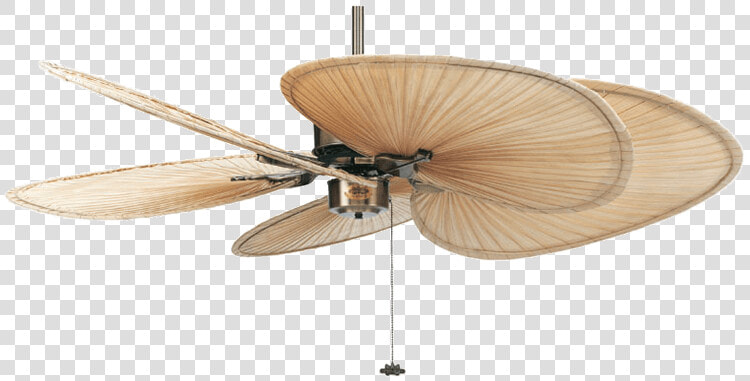 Islander Fanimation Natural Palm Fan   Plantation Ceiling Fan  HD Png DownloadTransparent PNG