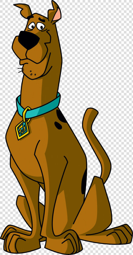 Scooby Doo Png   Fred Daphne Velma Shaggy Scooby Doo  Transparent PngTransparent PNG