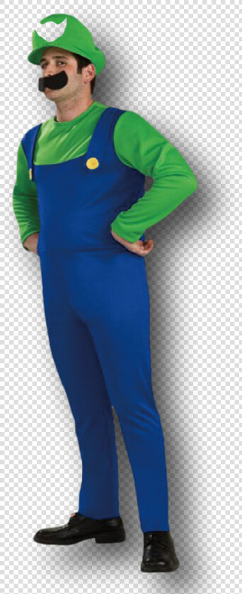 Mario Bros Luigi Costume   Mario And Luigi Costumes  HD Png DownloadTransparent PNG