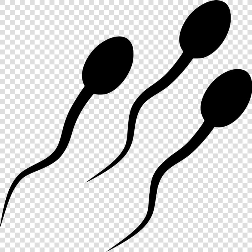 Sperm Cells   Sperm Cell Clipart  HD Png DownloadTransparent PNG