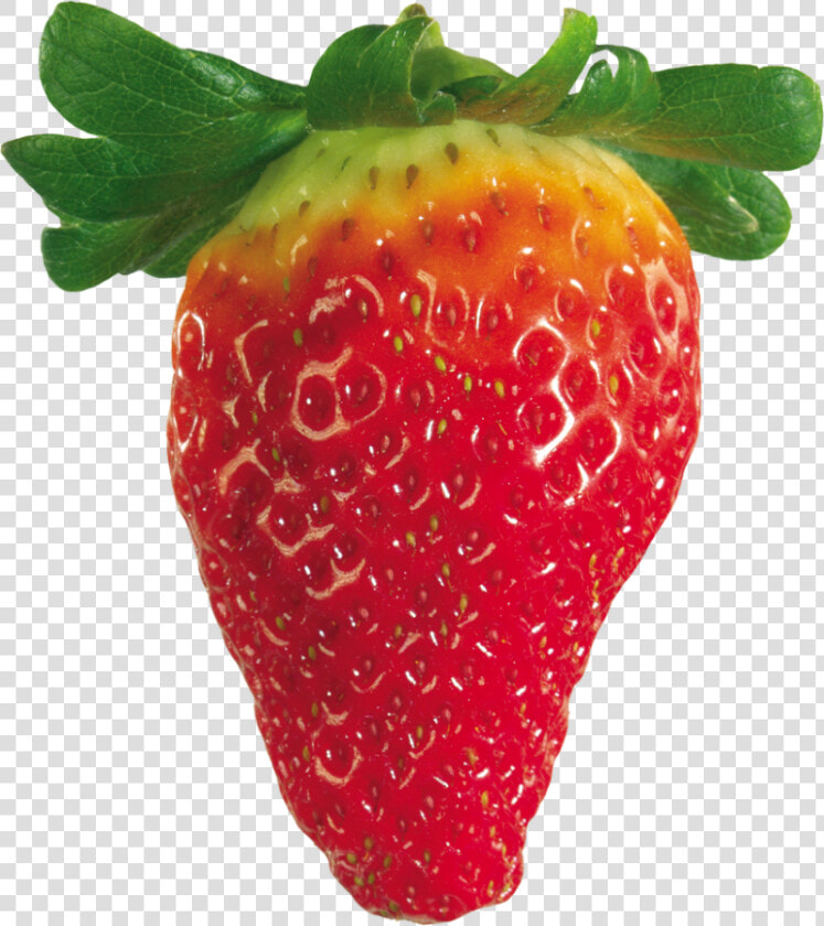 Strawberry Png Image   Strawberry  Transparent PngTransparent PNG