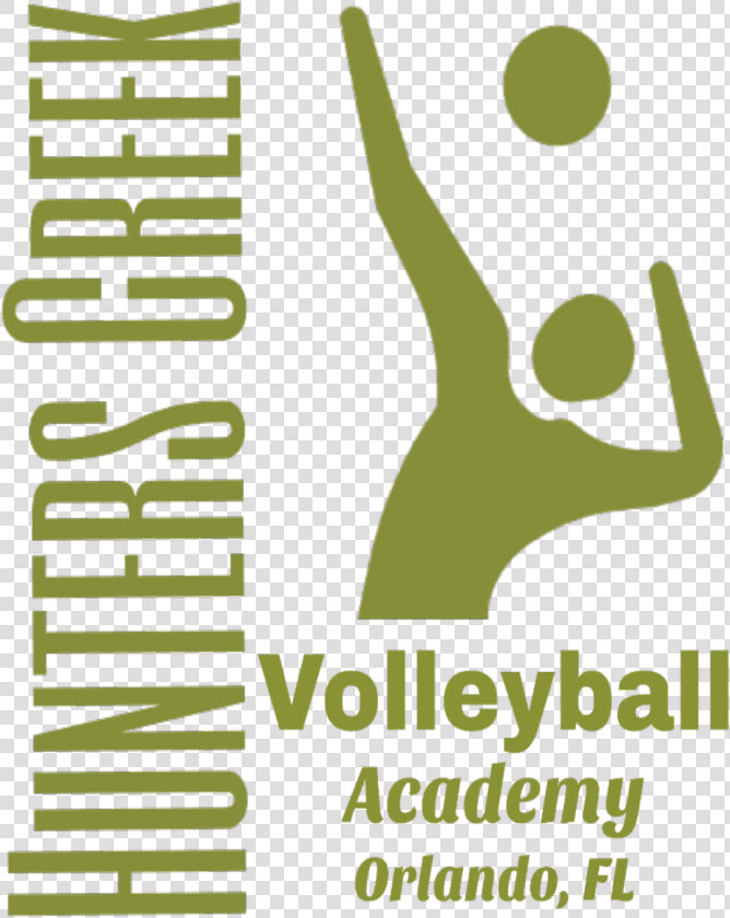 Volleyball Roster  HD Png DownloadTransparent PNG