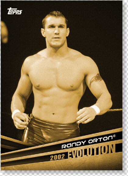 2018 Topps Wwe Randy Orton Evolution Poster Gold Ed   Wwe Evolution 2002 And 2018  HD Png DownloadTransparent PNG