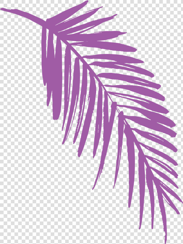 Transparent Jungle Leaf Png   Jungle Leaf Clip Art  Png DownloadTransparent PNG