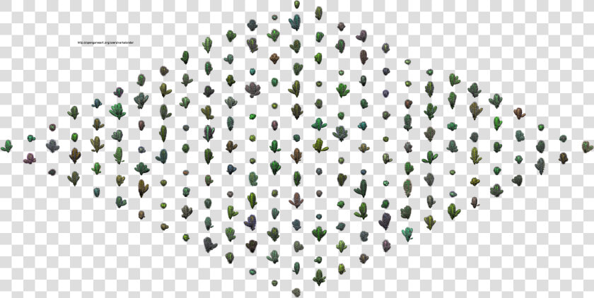 Hjm Randomized Multi Cacti 1a Alpha   Drawing  HD Png DownloadTransparent PNG