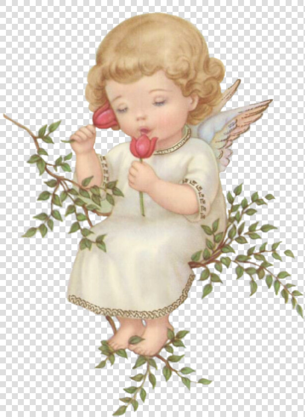 Heaven Cherub Angel  HD Png DownloadTransparent PNG