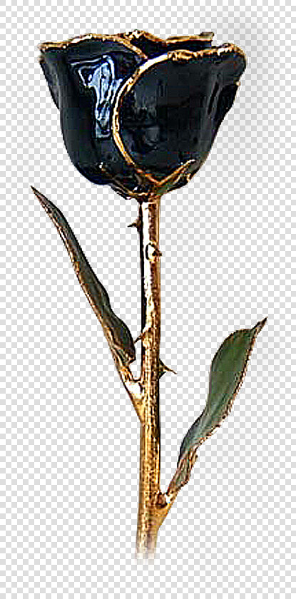 Transparent Black Roses Png   Black And Gold Roses With Stem  Png DownloadTransparent PNG