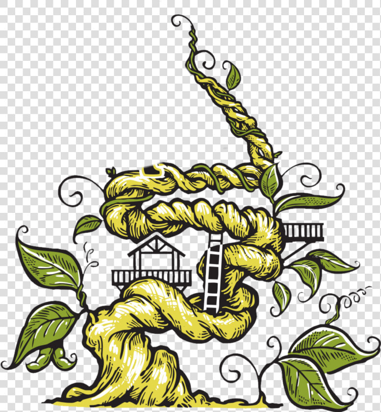  beanstalk  vines  leaves  plants  stems  decoration   Beanstalk Ziplines  HD Png DownloadTransparent PNG