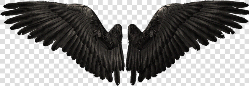 Devil Wings Png   Png Download   Devil Wings Png  Transparent PngTransparent PNG