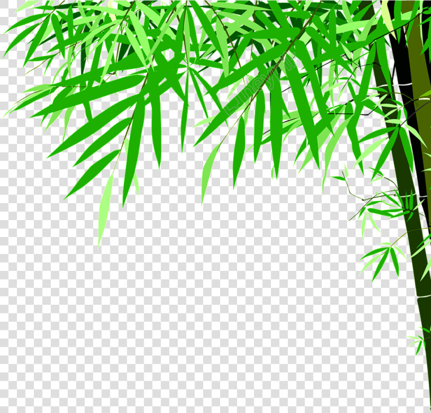 Green Bamboo Png   Detox Foot Patch Annex  Transparent PngTransparent PNG