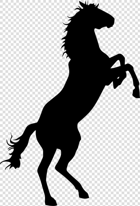 Horse Silhouette Png Clipart   Png Download   Horse Silhouette Png  Transparent PngTransparent PNG